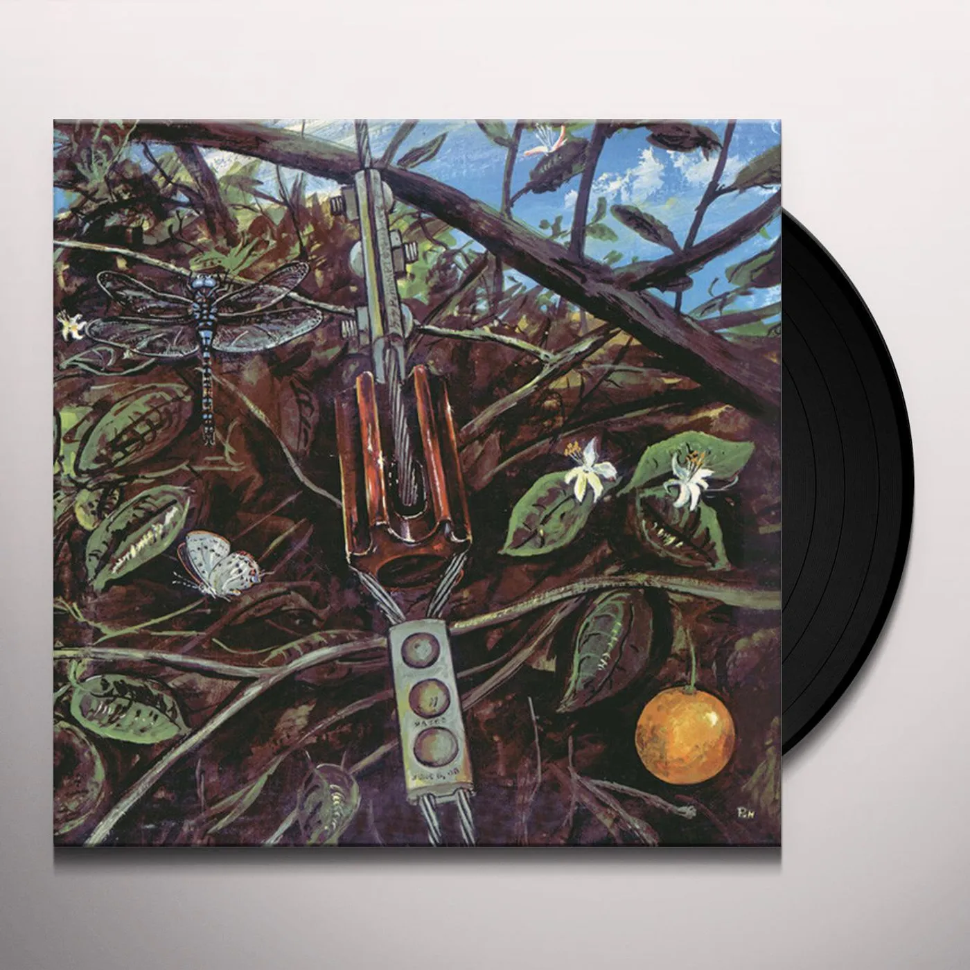 Dragonfly Vinyl Record