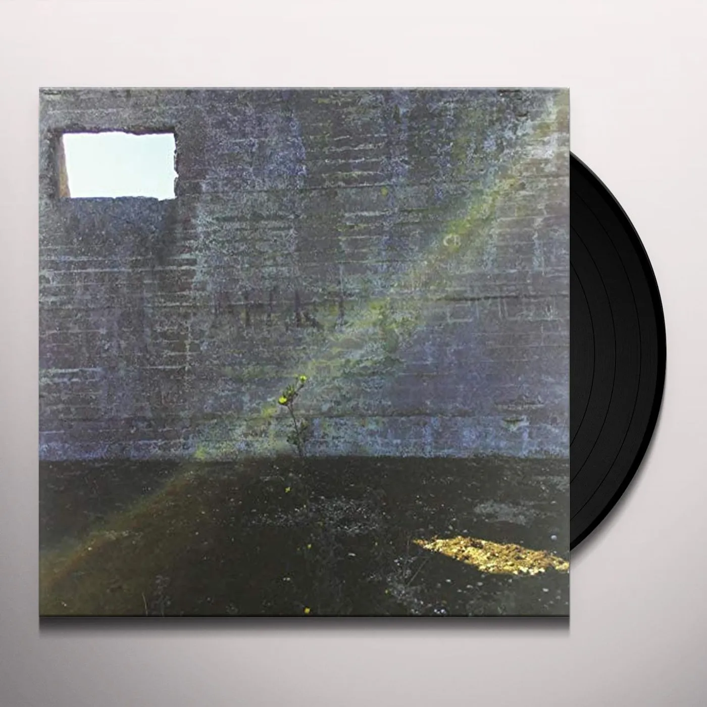 Desperate Journalist In Search of the Miraculous Vinyl Record