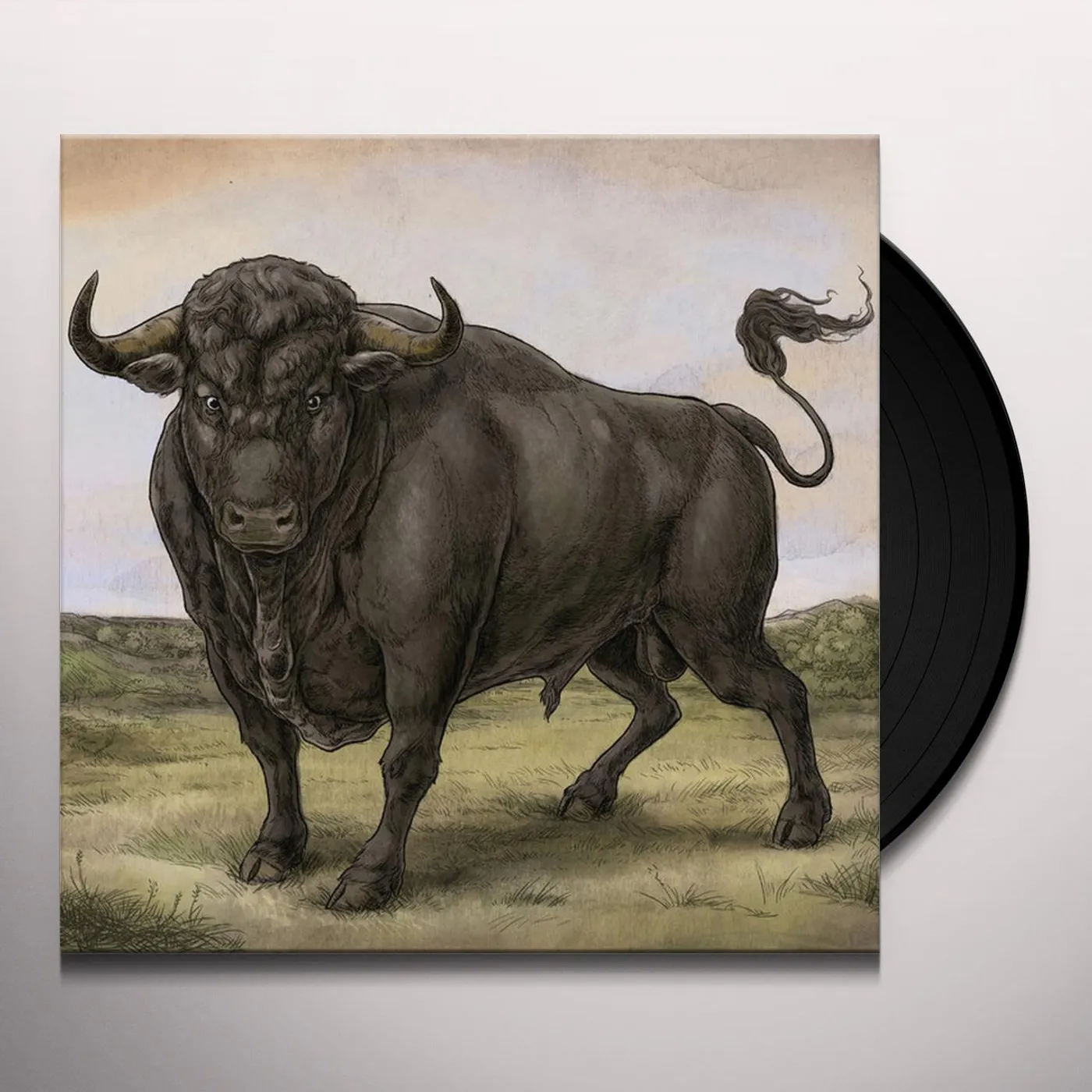 San Fermin Vinyl Record