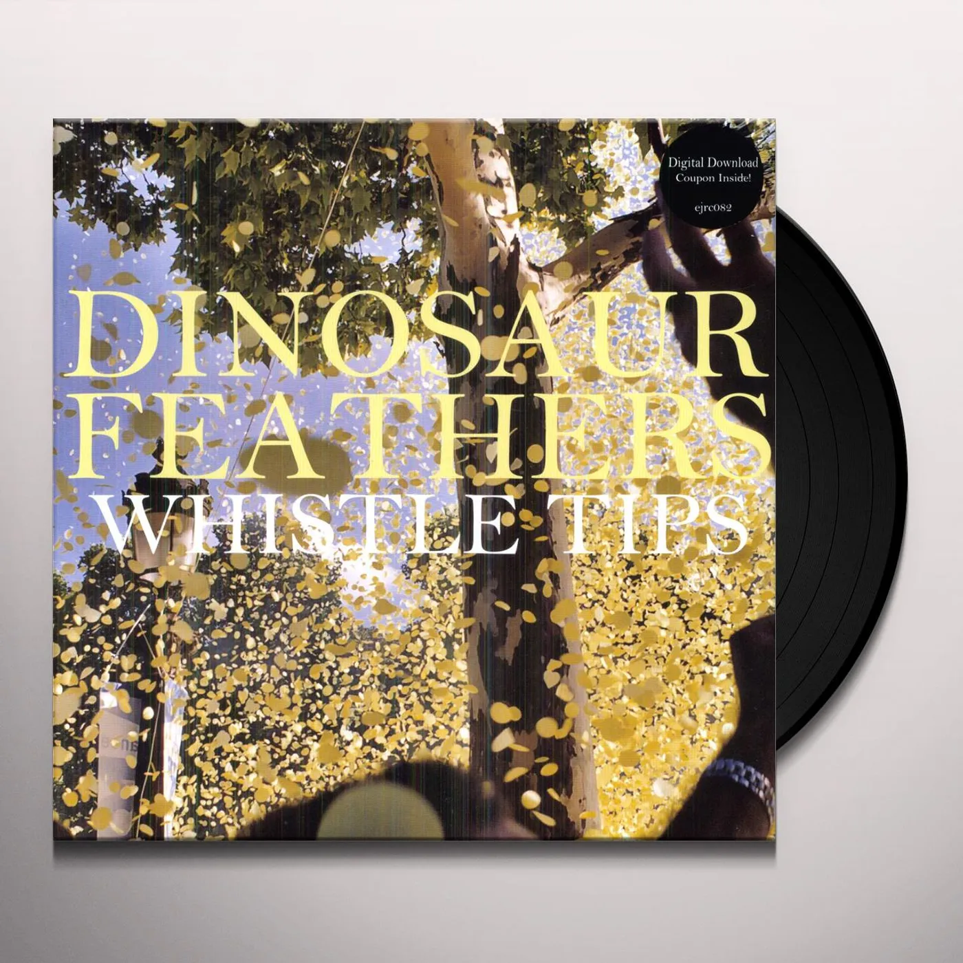 Dinosaur Feathers Whistle Tips Vinyl Record
