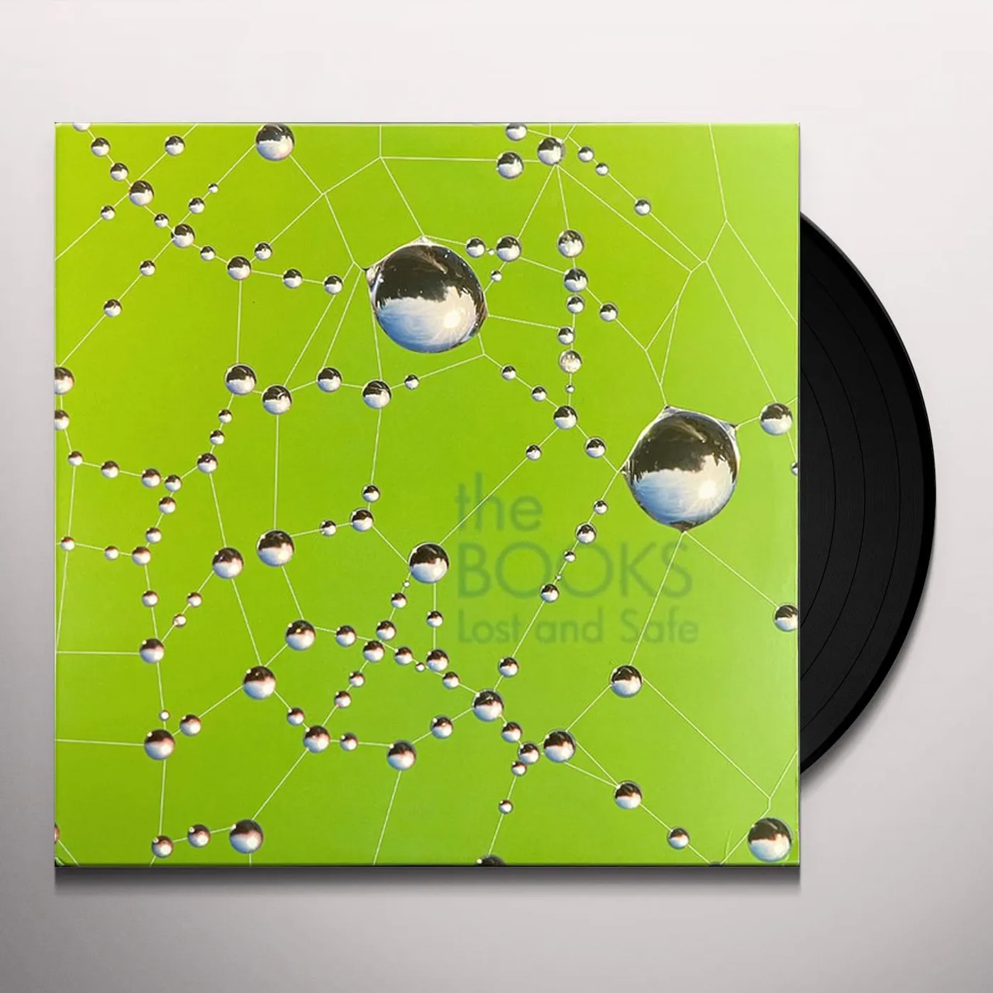 Books Lost And Safe Vinyl Record