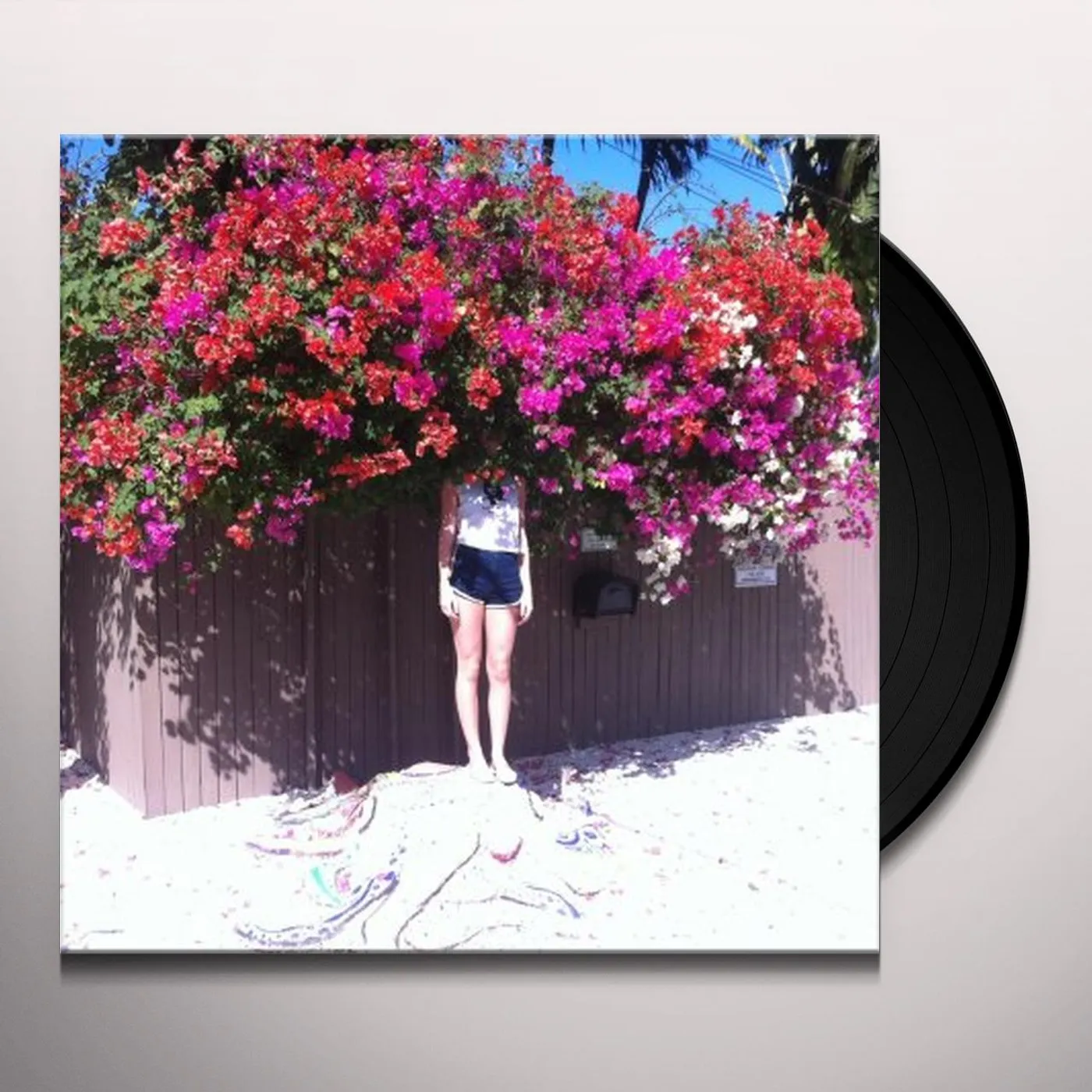 Elf Power Sunlight on the Moon Vinyl Record