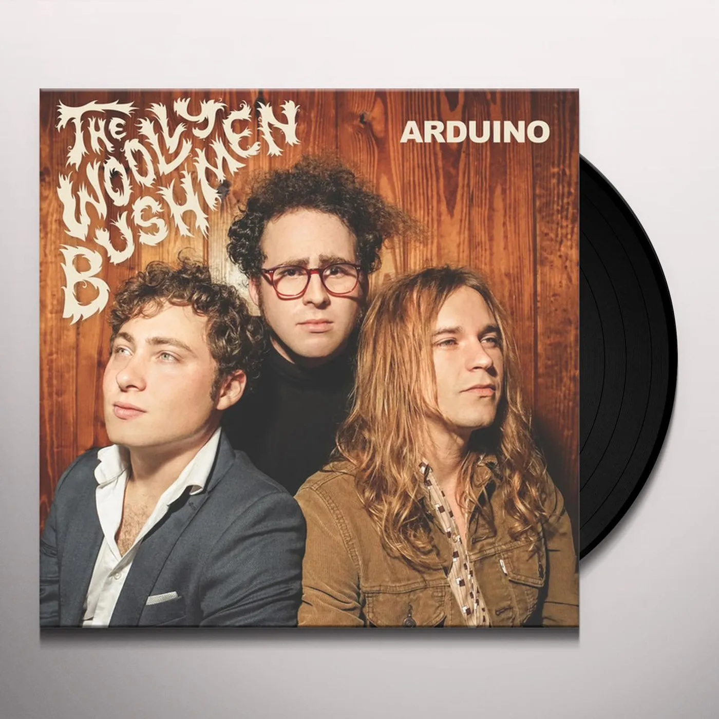 The Woolly Bushmen Arduino Vinyl Record