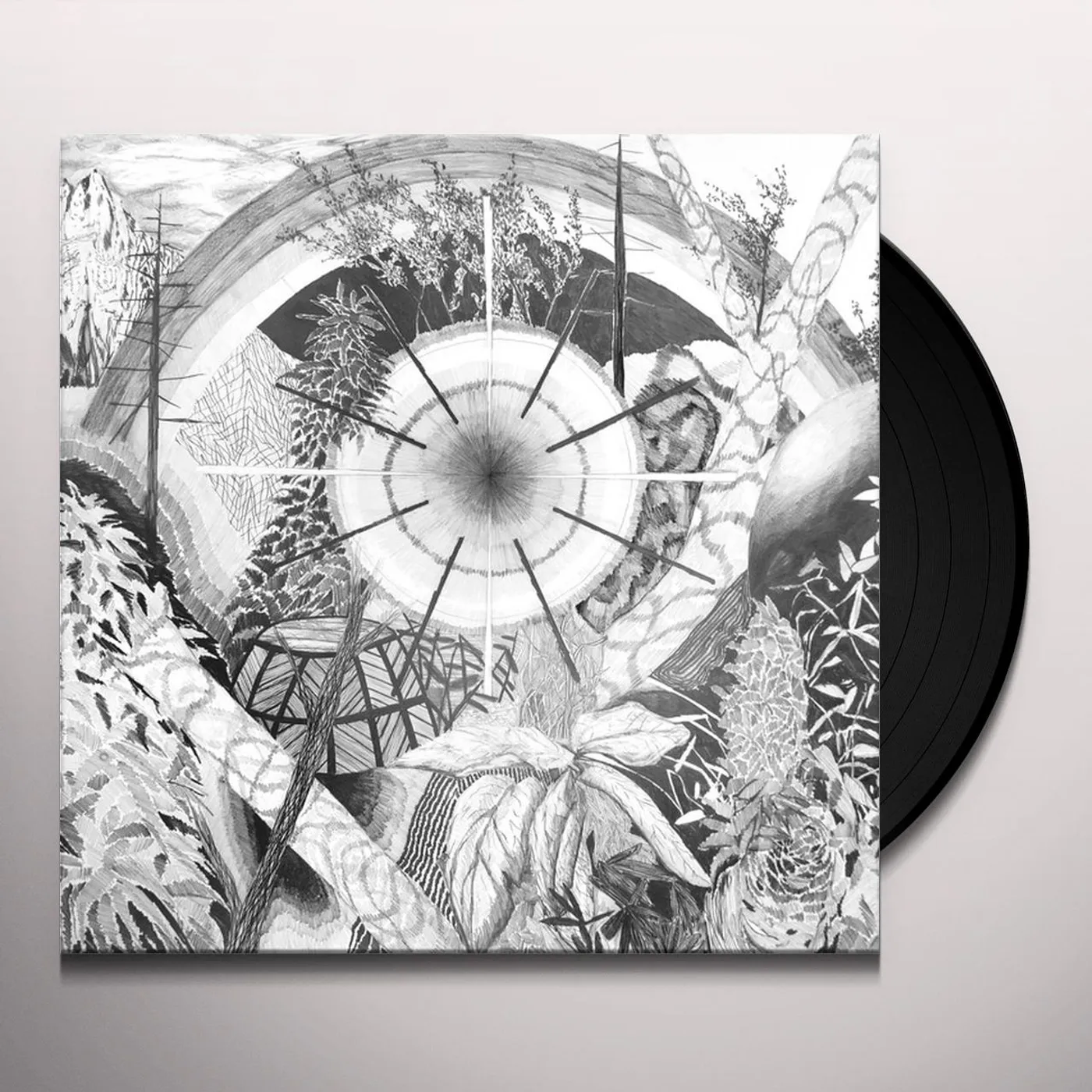 Thee Oh Sees Dog Poison Vinyl Record