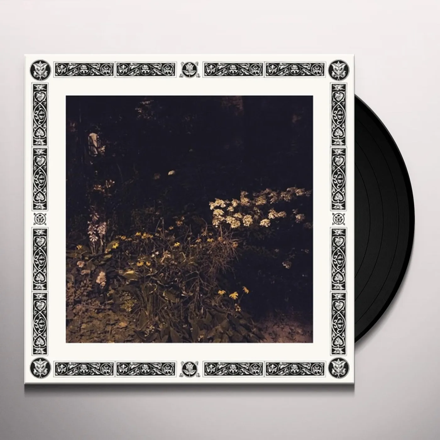 Sarah Davachi Pale Bloom Vinyl Record