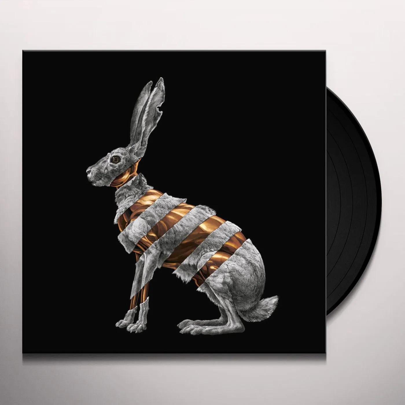 San Fermin Jackrabbit Vinyl Record