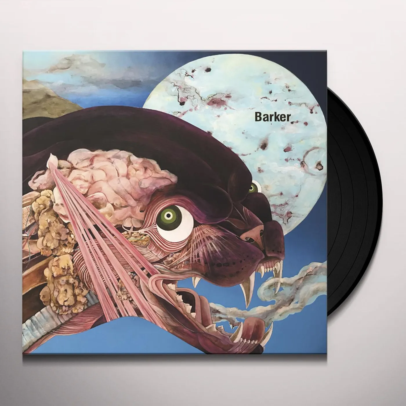 Barker Debiasing Vinyl Record