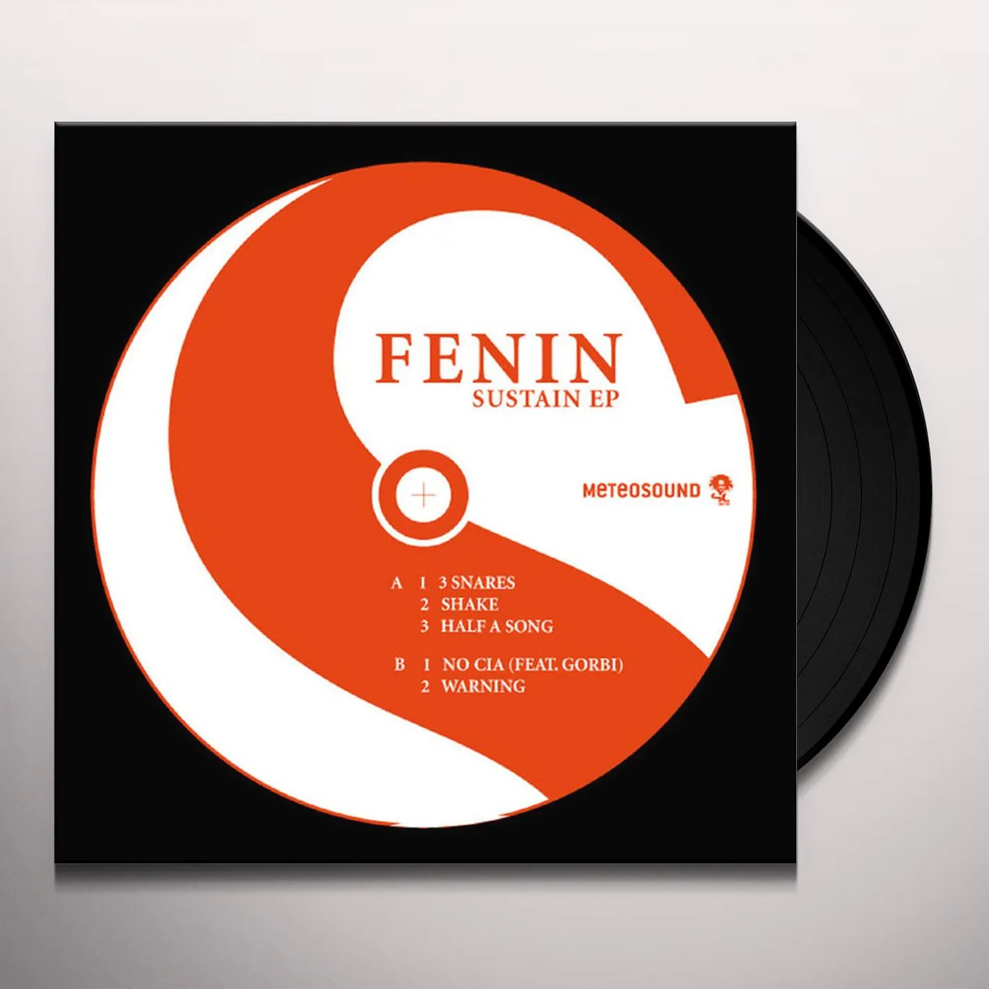Fenin Sustain Vinyl Record