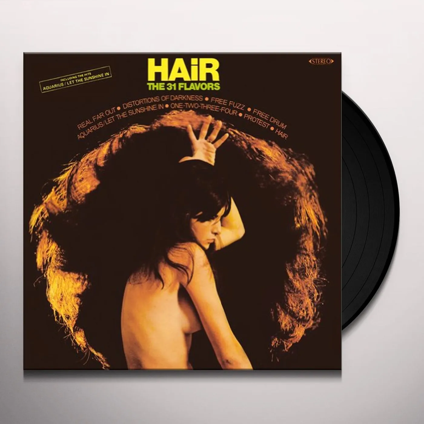 The 31 Flavors Hair Vinyl Record