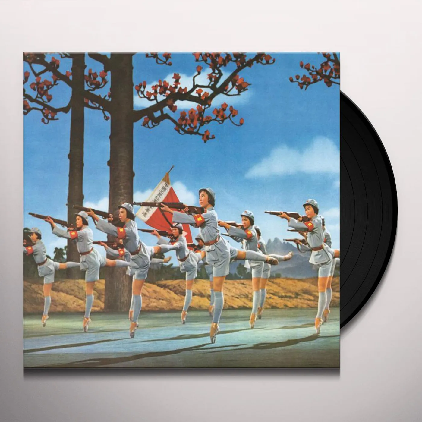 The Martha's Vineyard Ferries Suns out Guns Out Vinyl Record