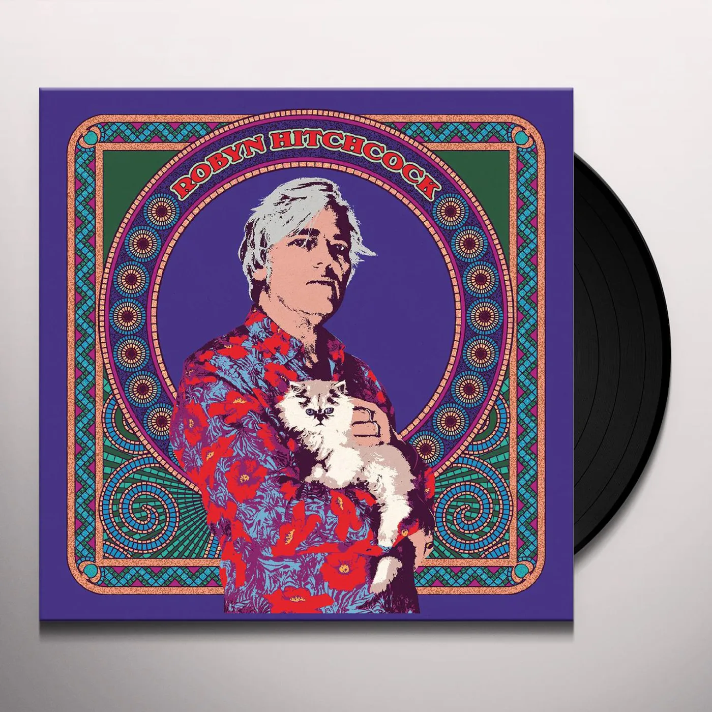 Robyn Hitchcock Vinyl Record