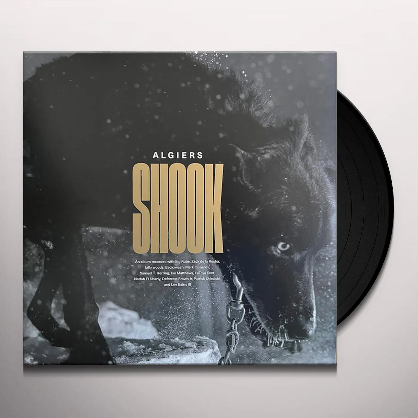 Algiers Shook Vinyl Record