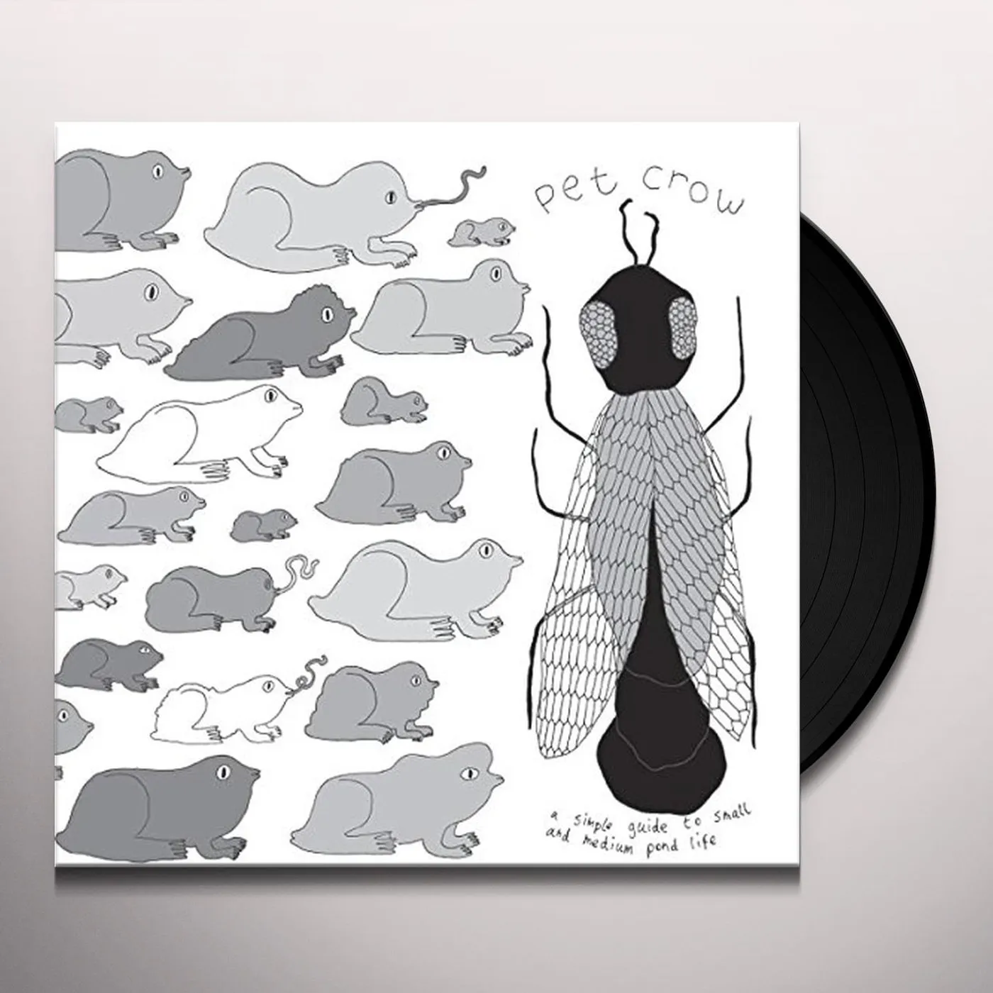 Pet Crow SIMPLE GUIDE TO SMALL & MEDIUM POND LIFE Vinyl Record