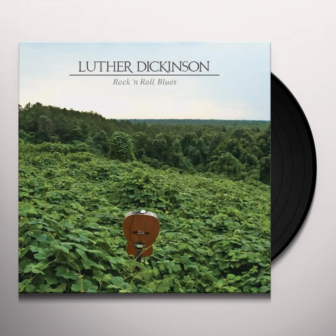 Luther Dickinson ROCK N ROLL BLUES Vinyl Record