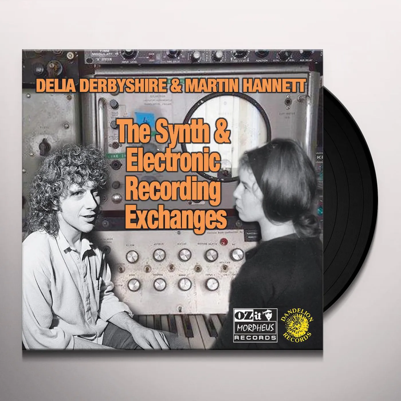 Delia Derbyshire & Martin Hannett  SYNTH AND ELECTRONIC RECORDING EXCHANGES Vinyl Record