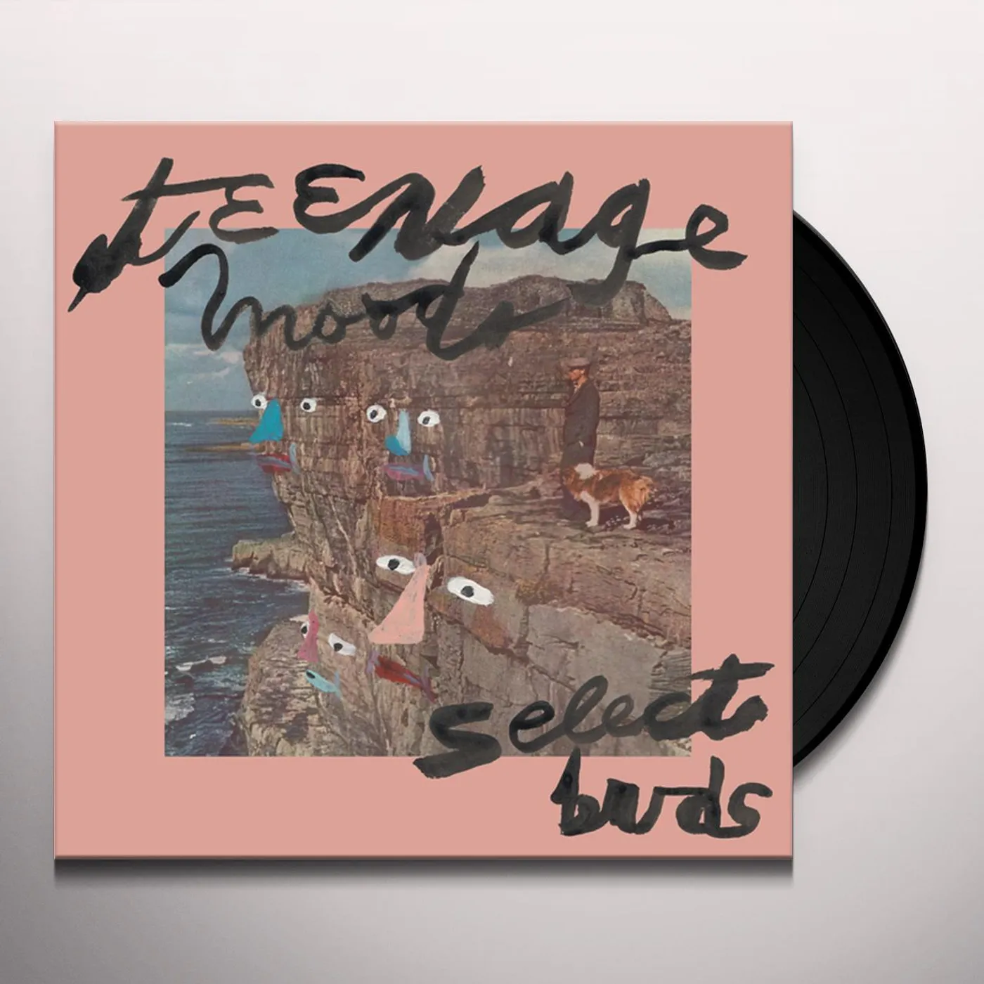 Teenage Moods SELECT BUDS Vinyl Record