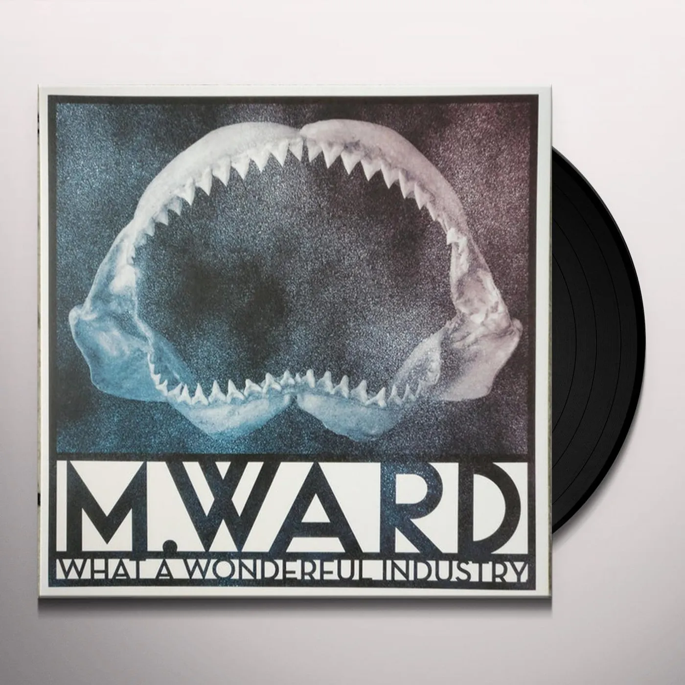 M. Ward What a Wonderful Industry Vinyl Record