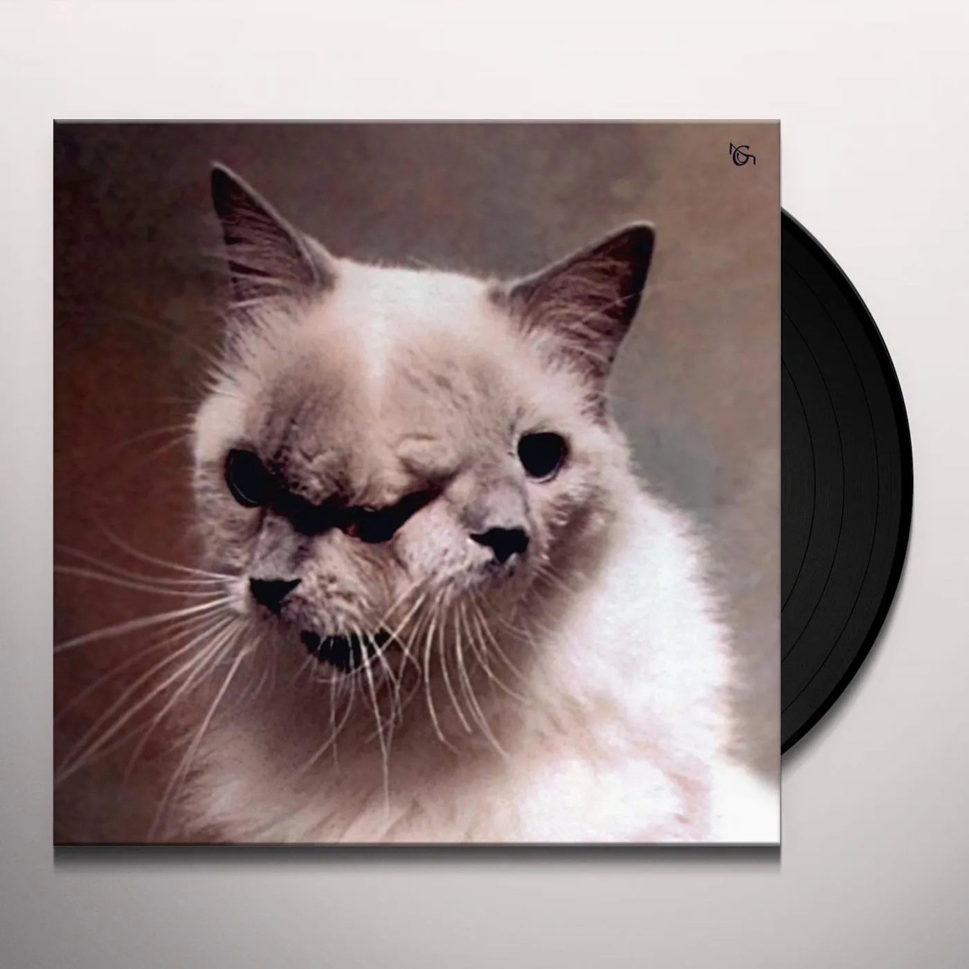 Mouchoir Étanche UNE FILLE PETRIFIEE Vinyl Record