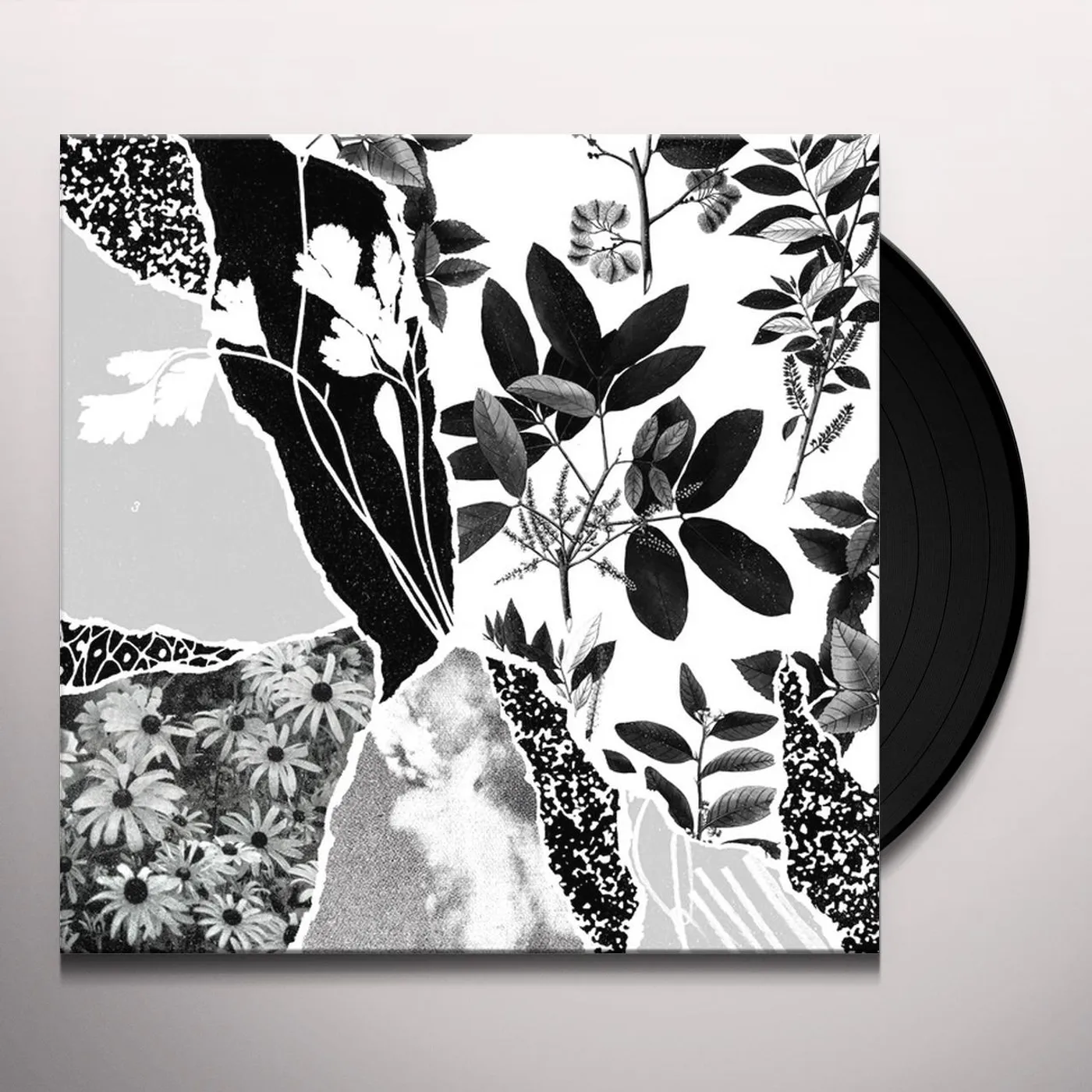 Ponctuation Mon herbier du monde entier Vinyl Record