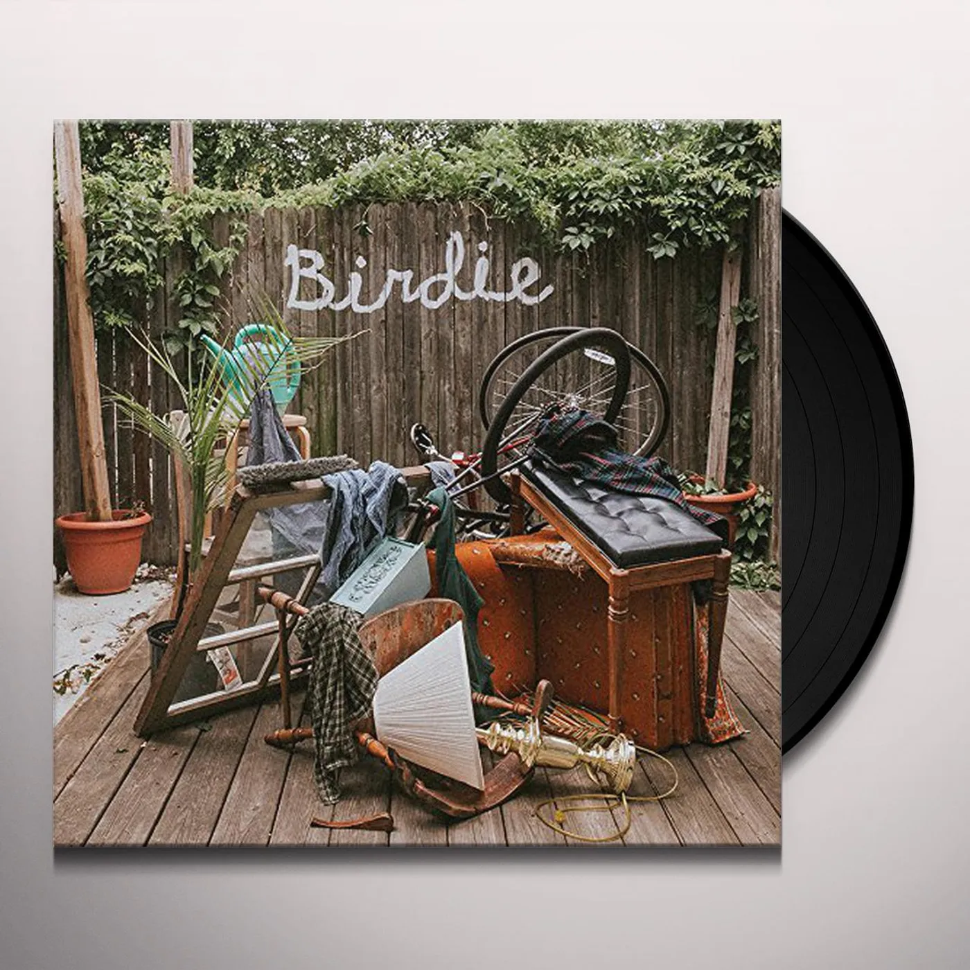 Slaughter Beach, Dog Birdie Vinyl Record