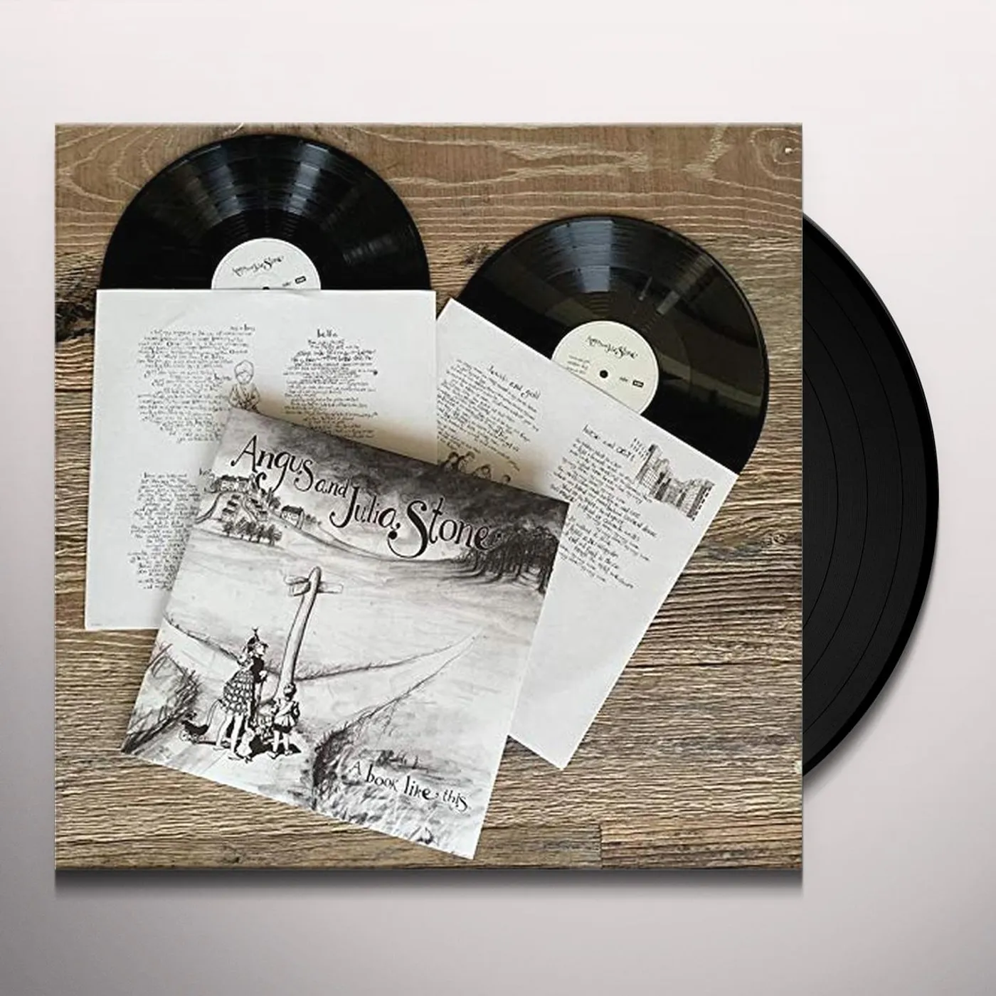 Angus & Julia Stone BOOK LIKE THIS Vinyl Record