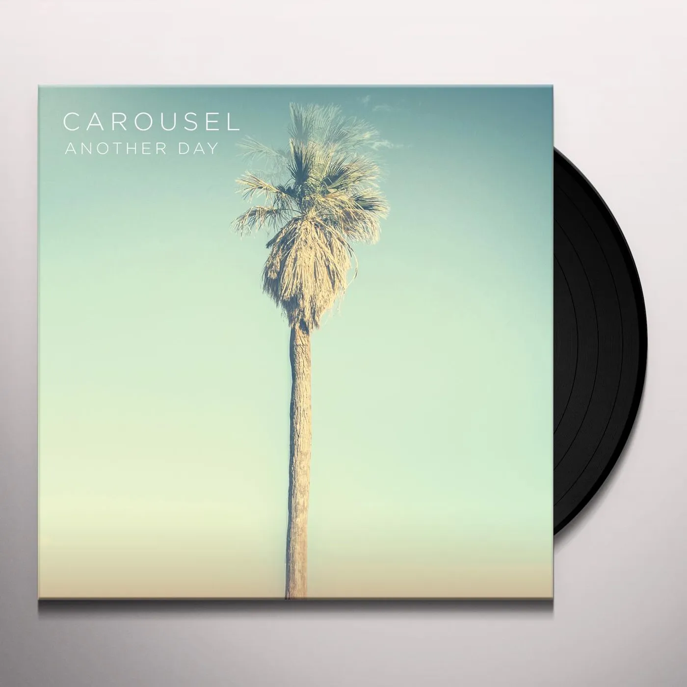 Carousel Another Day Vinyl Record