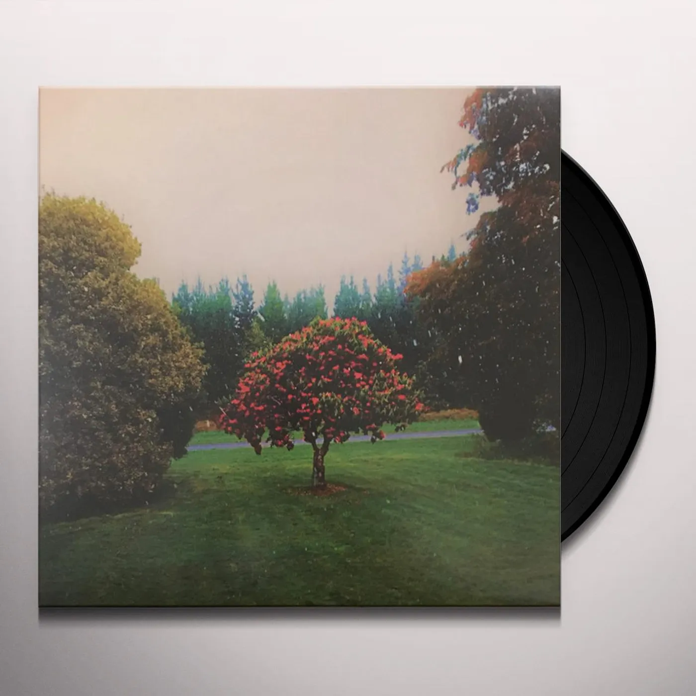 The Bats Foothills Vinyl Record