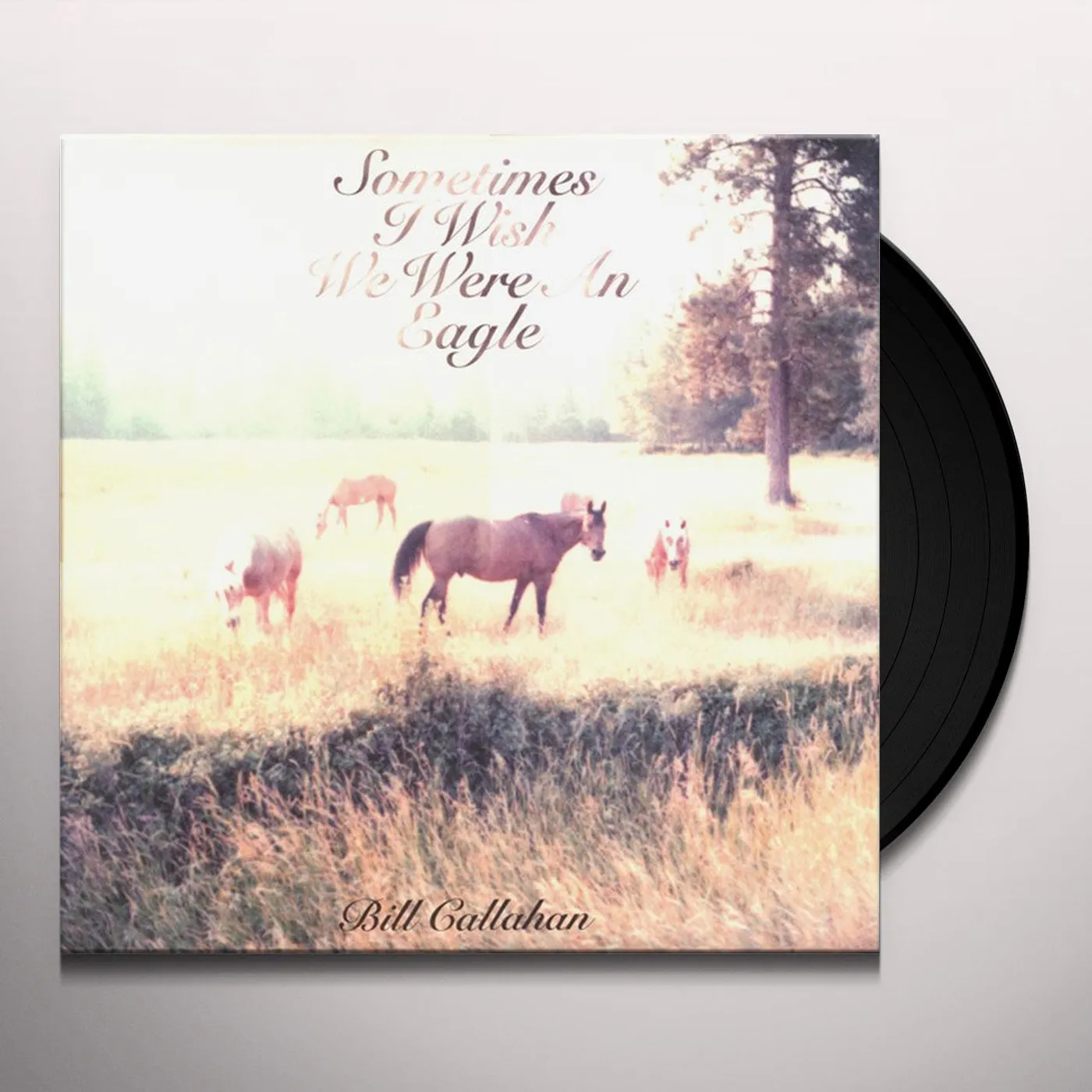 Bill Callahan Sometimes I Wish We Were An Eagle Vinyl Record
