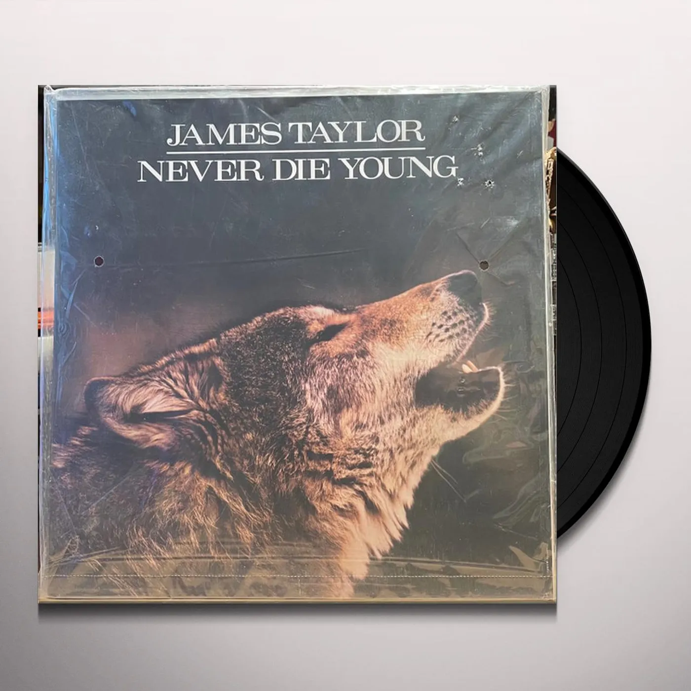 James Taylor Never Die Young Vinyl Record