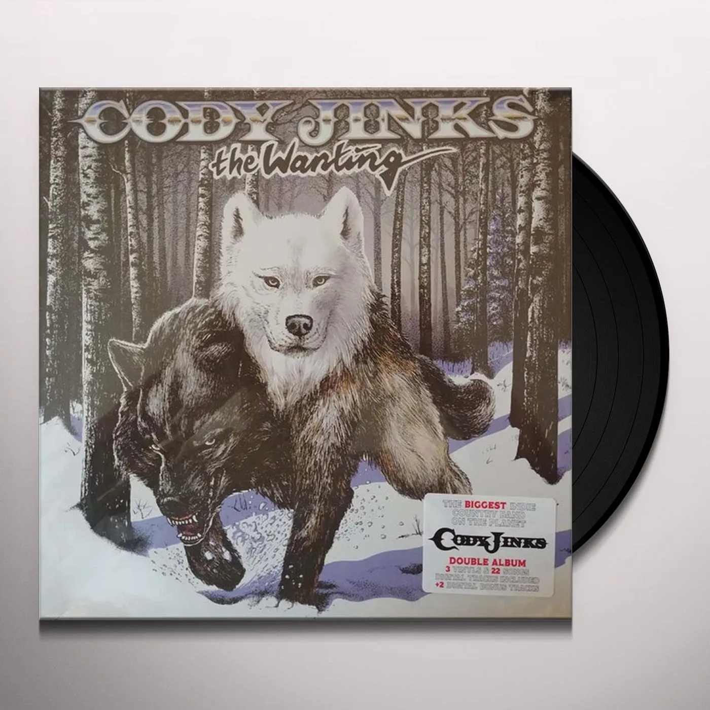 Cody Jinks WANTING AFTER THE FIRE Vinyl Record
