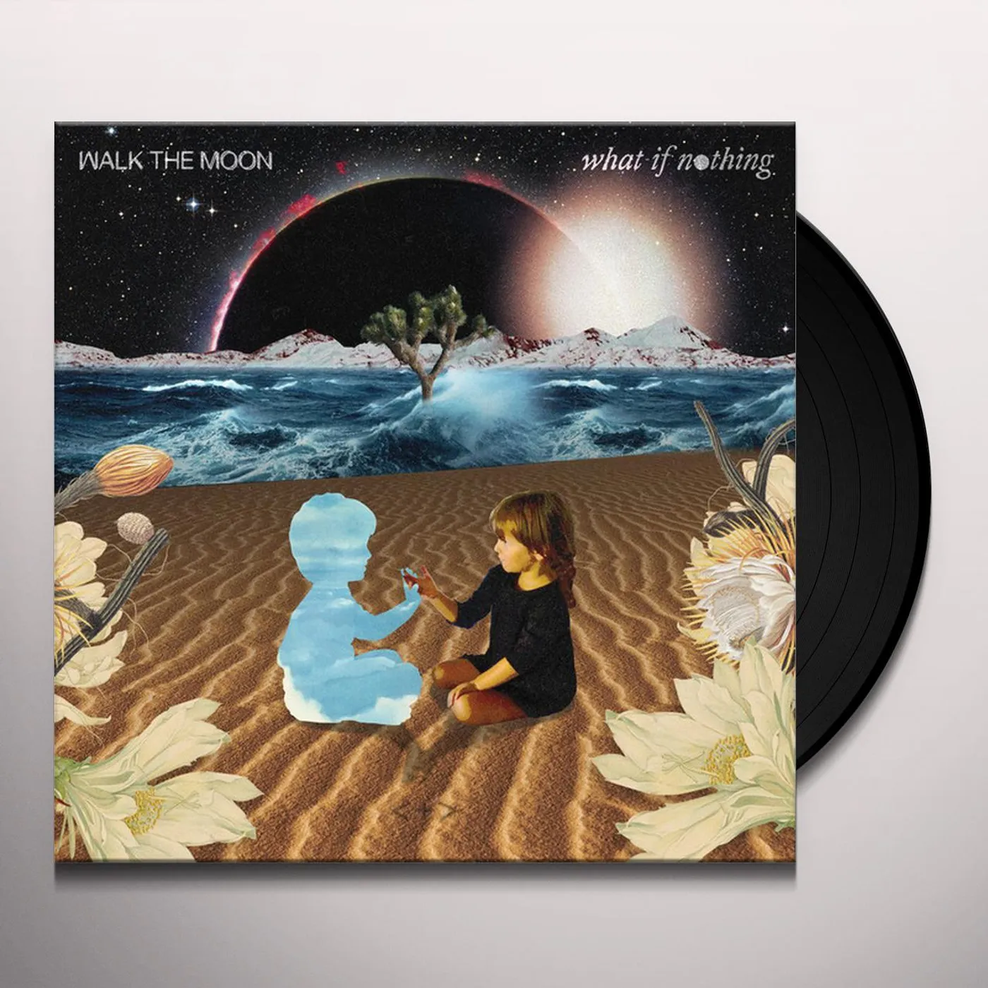 美品　Walk The Moon　Talking Is Hard　LP　レコード WALK THE MOON Talking Is Hard Vinyl Record