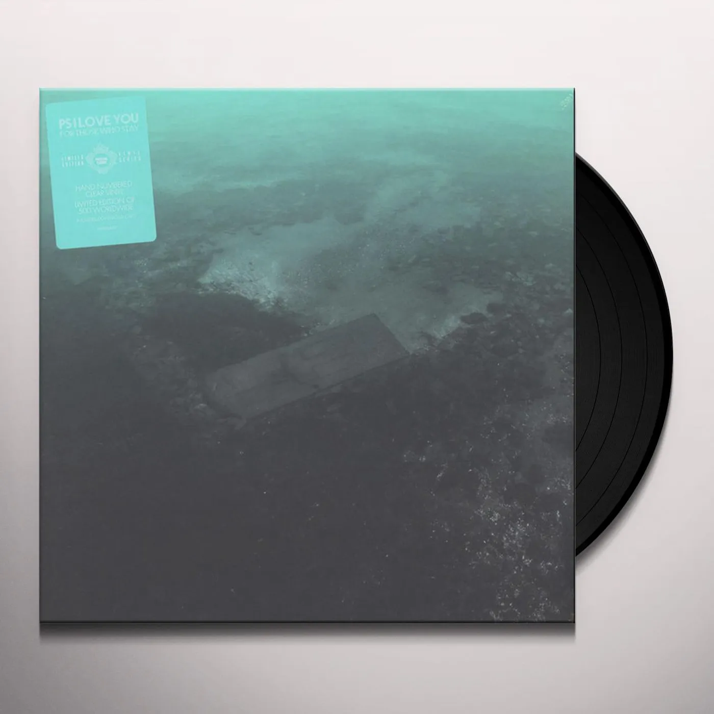 PS I Love You For Those Who Stay Vinyl Record