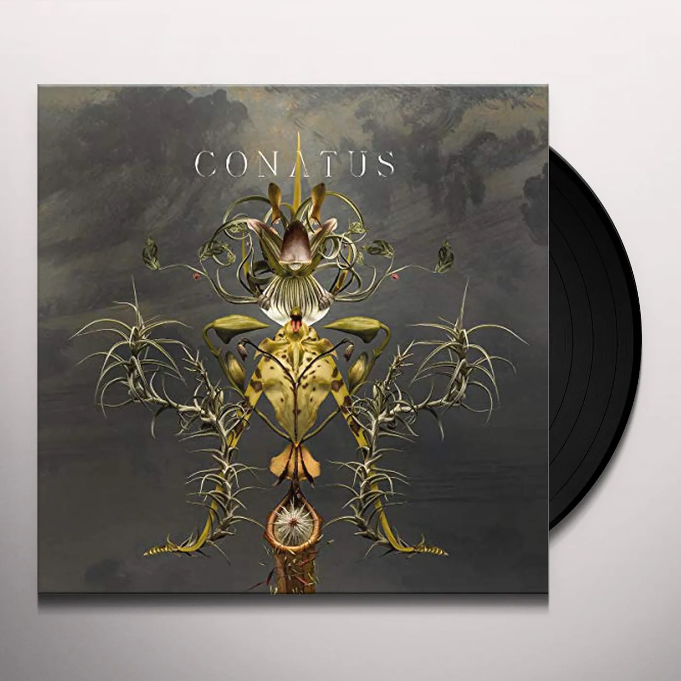 Joep Beving Conatus Vinyl Record