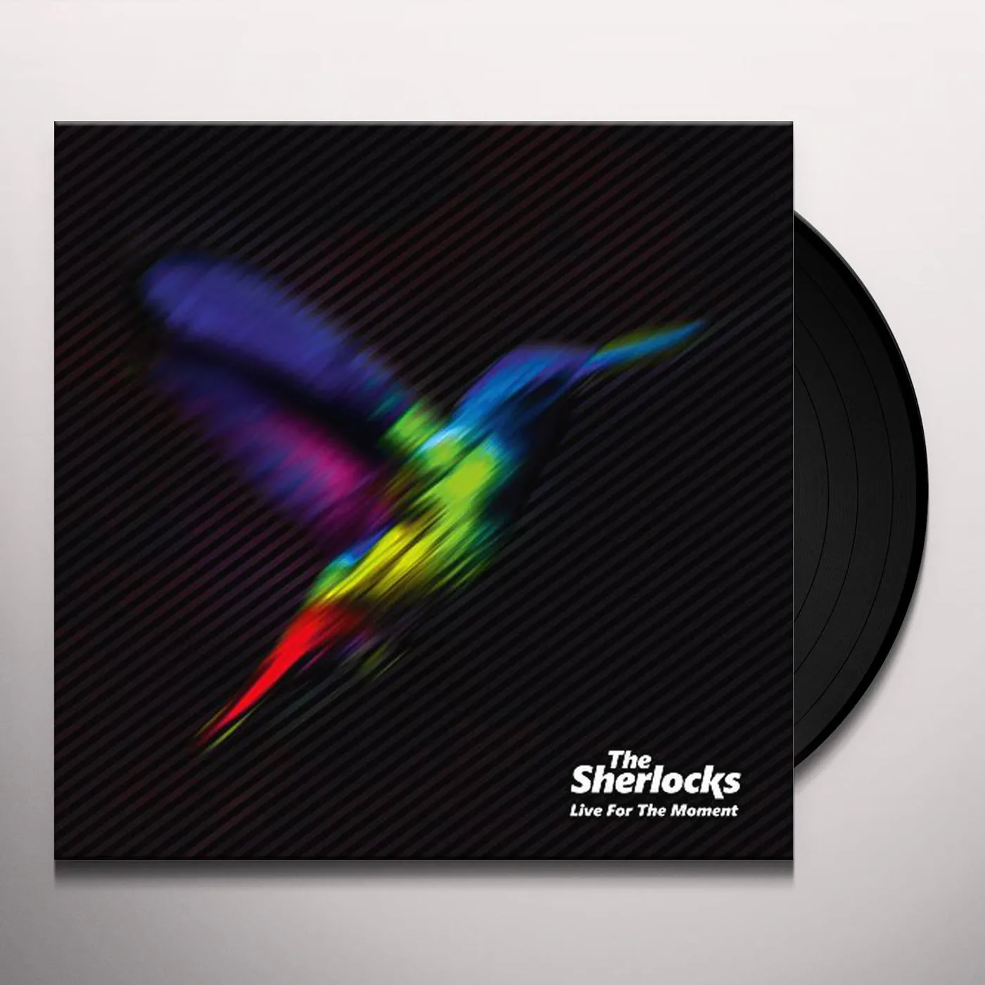The Sherlocks Live for the Moment Vinyl Record