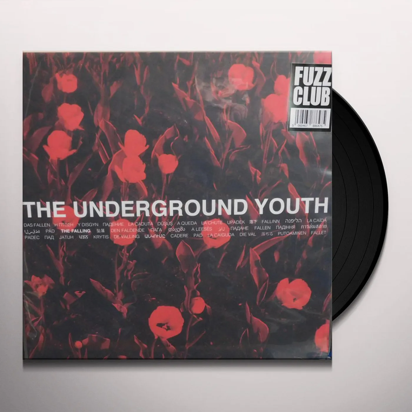 The Underground Youth FALLING Vinyl Record