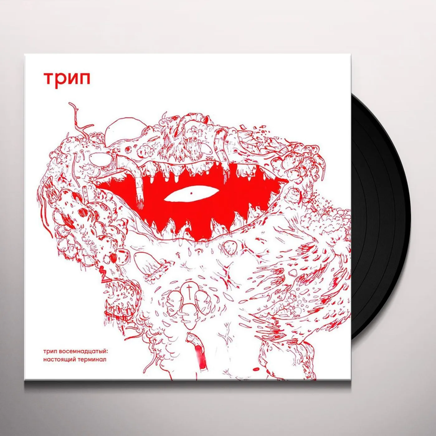 Roma Zuckerman That Present Terminal Vinyl Record