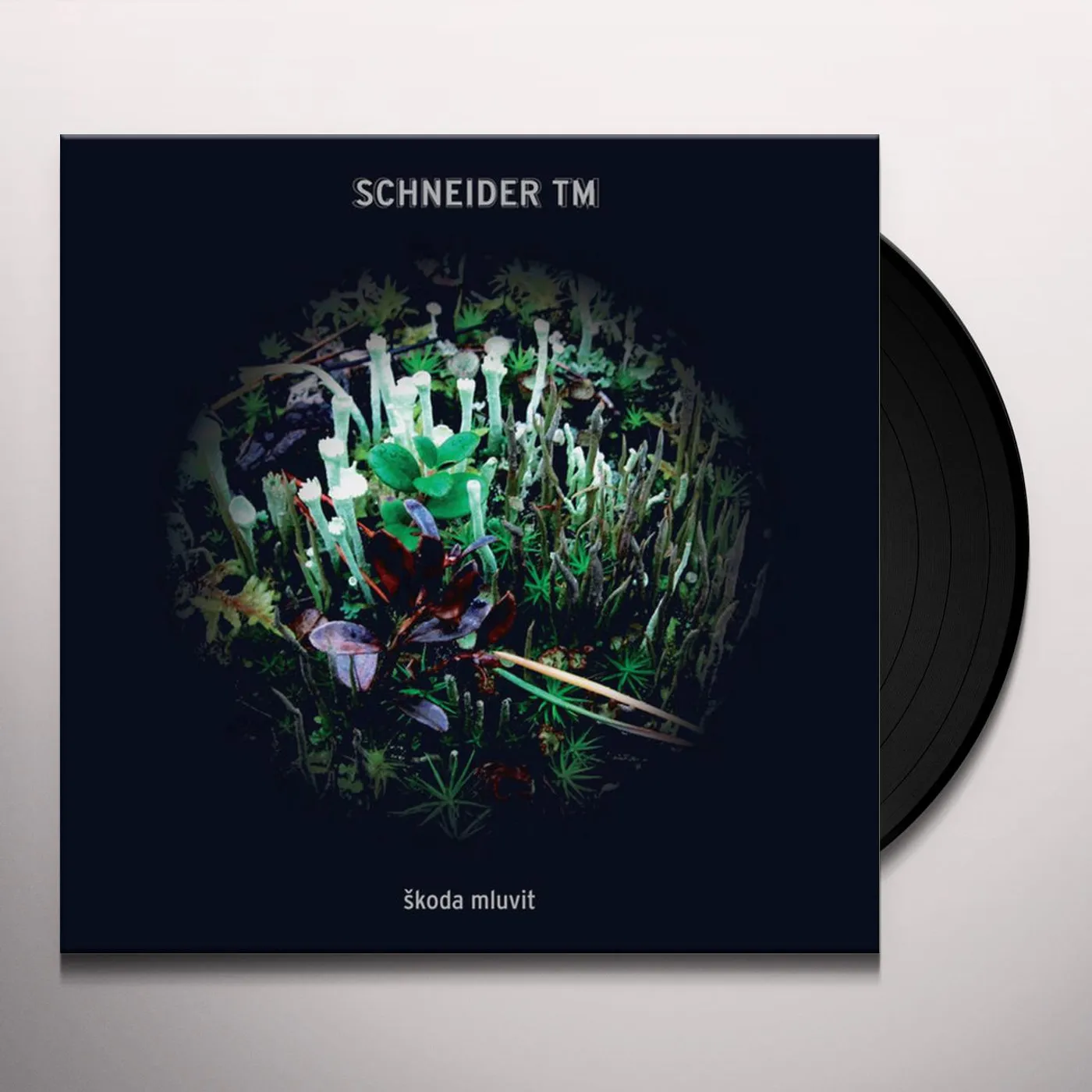 Schneider TM Skoda Mluvit Vinyl Record