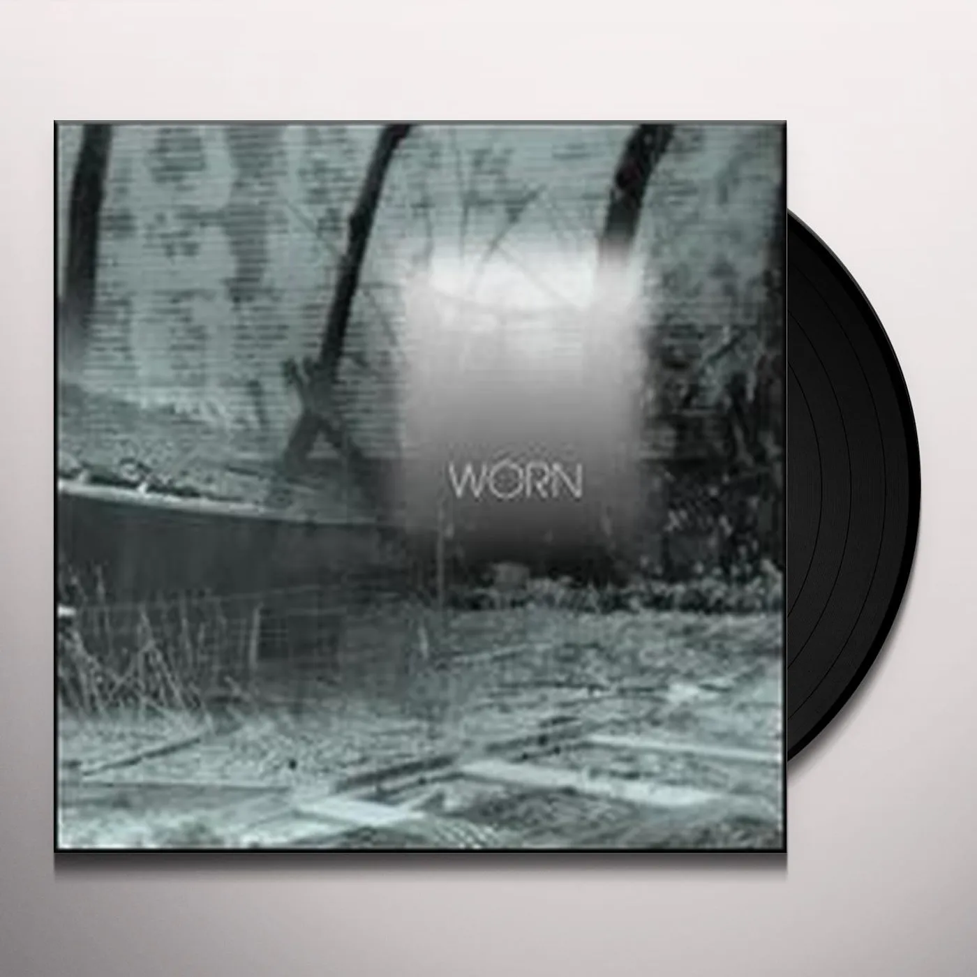 Common Eider, King Eider Worn Vinyl Record