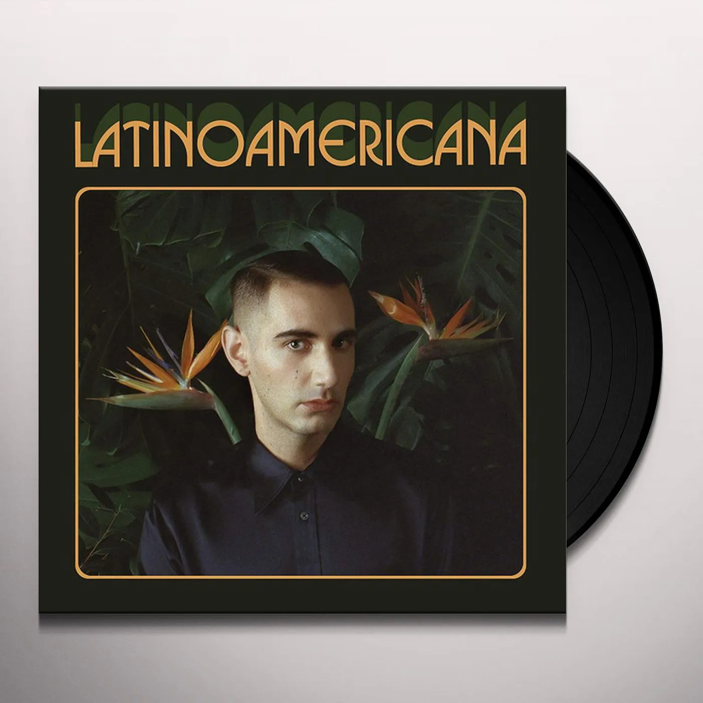 Alex Anwandter Latinoamericana Vinyl Record