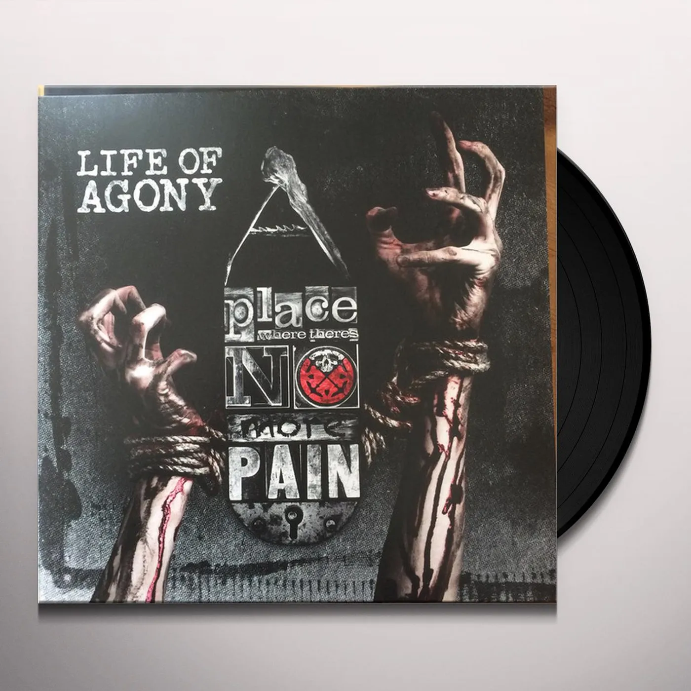 Life Of Agony PLACE WHERE THERE'S NO MORE PAIN Vinyl Record