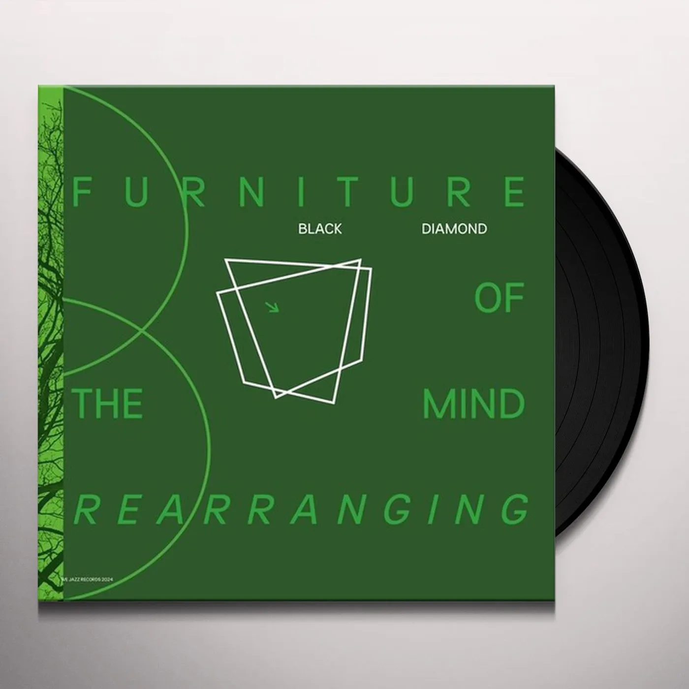 Diamond Black Furniture Of Mind Rearranging Vinyl Record