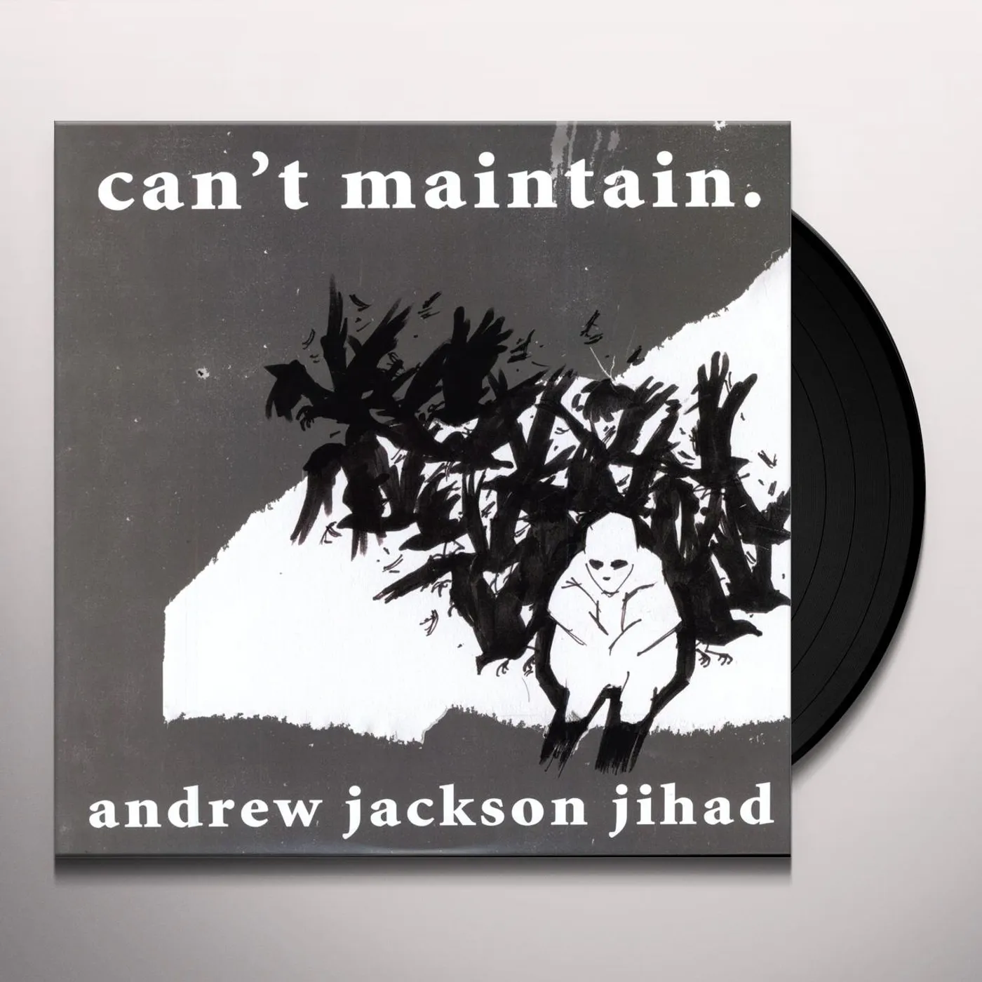 Andrew Jackson Jihad CAN'T MAINTAIN Vinyl Record