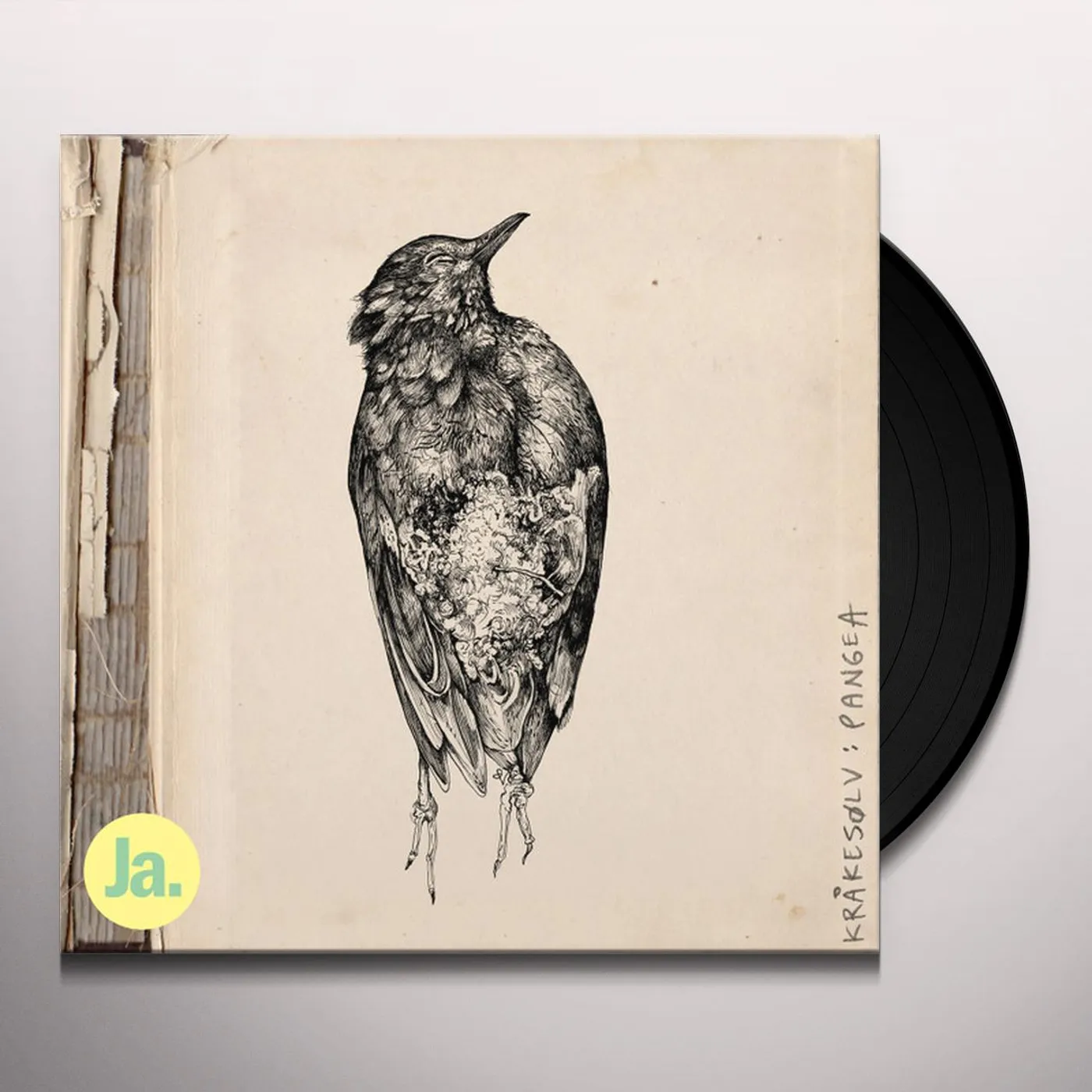 Krakesolv Pangea Vinyl Record