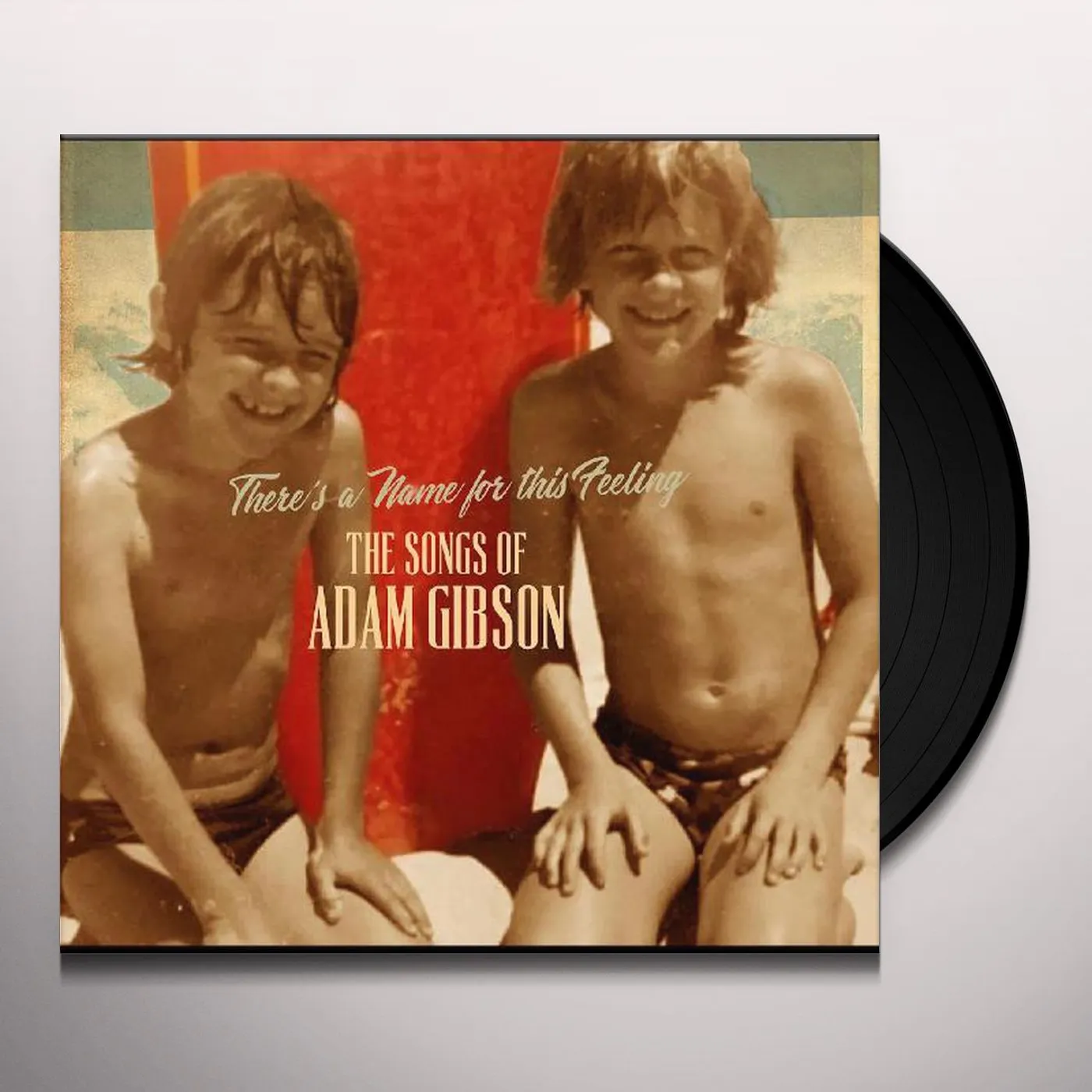 SONGS OF ADAM GIBSON (2LP) Vinyl Record