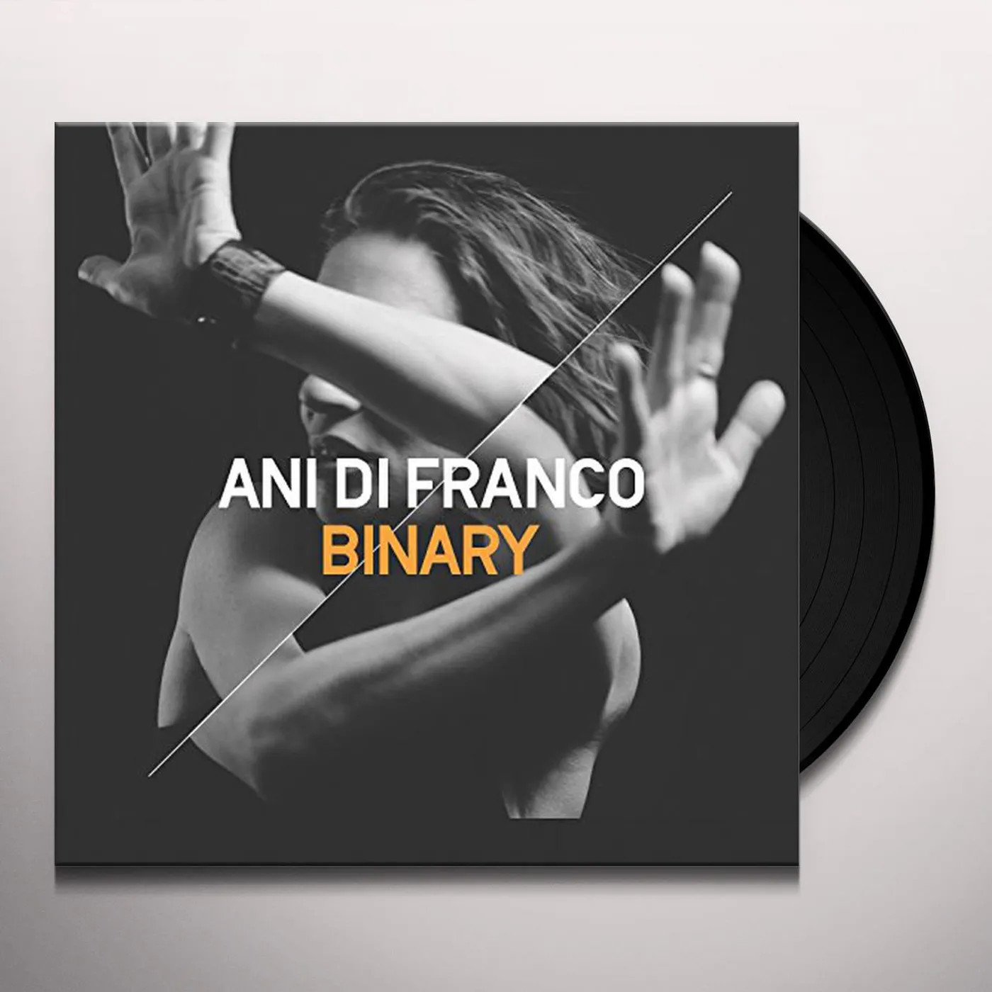 Ani DiFranco Binary Vinyl Record