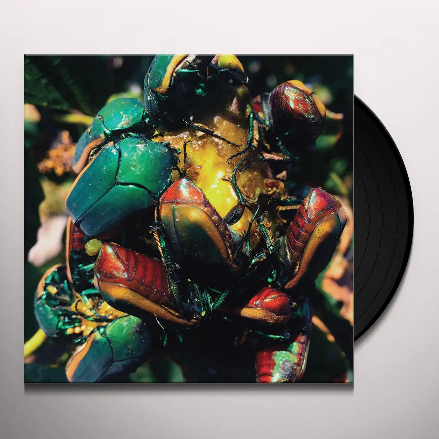 Tajak Ciclos Vinyl Record