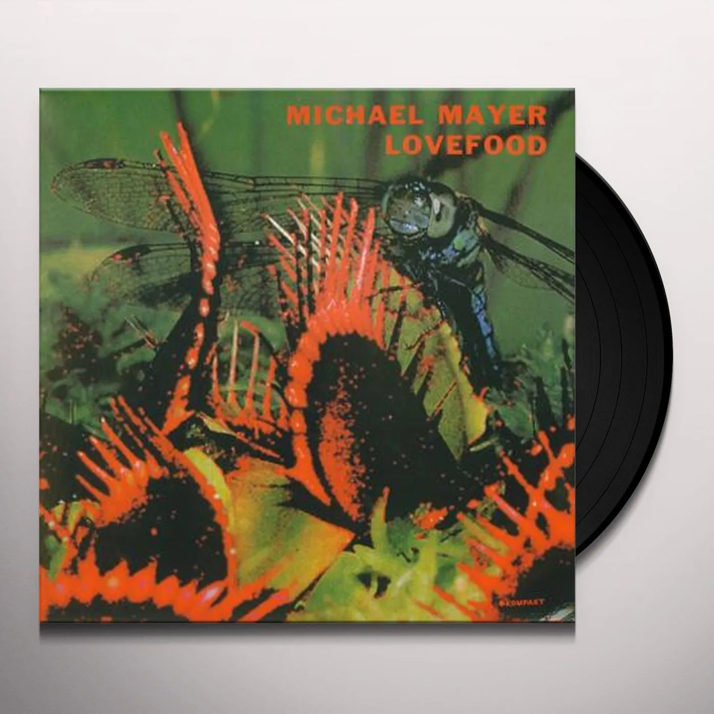 Michael Mayer LOVEFOOD RMX/SLOW Vinyl Record