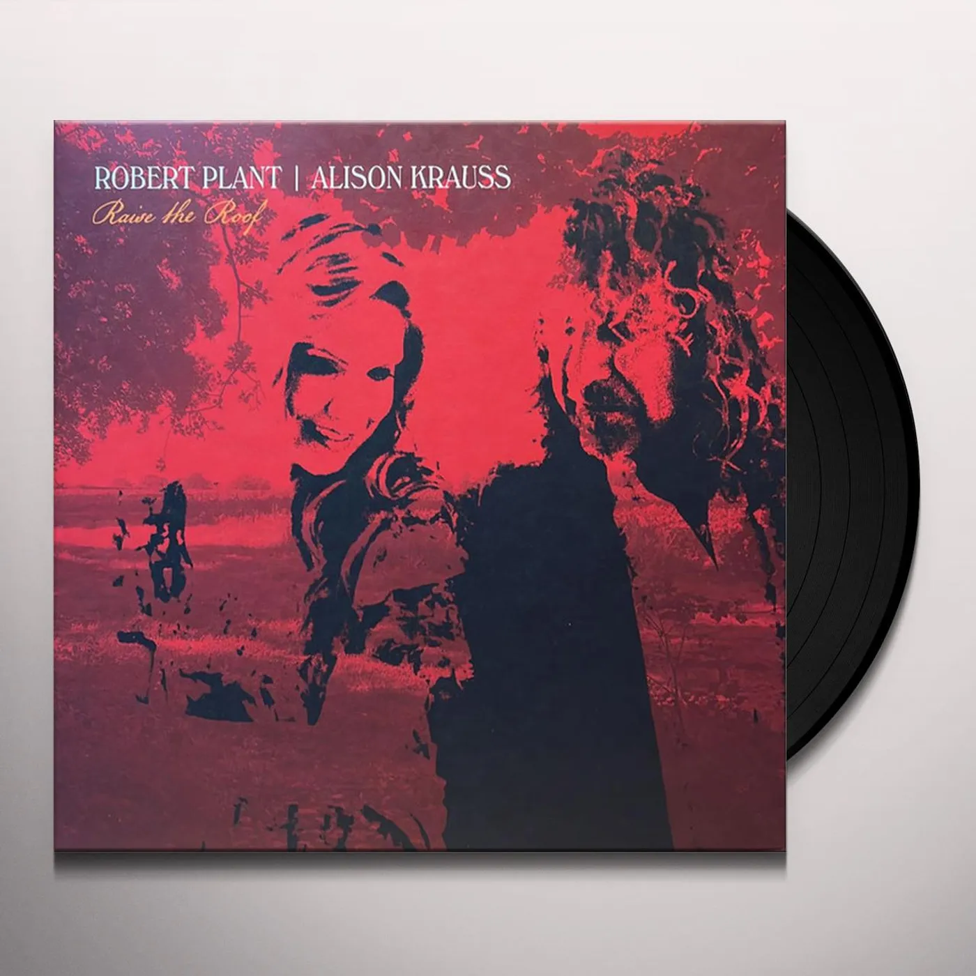 Robert Plant / Alison Krauss RAISE THE ROOF Vinyl Record
