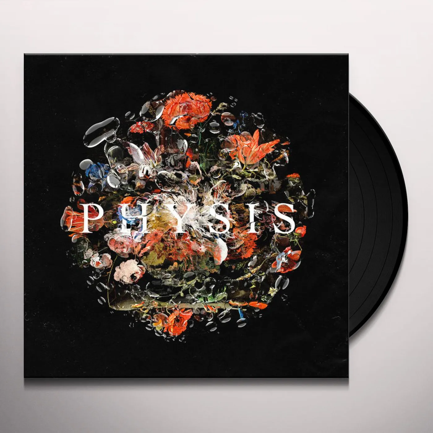 Daykoda PHYSIS Vinyl Record