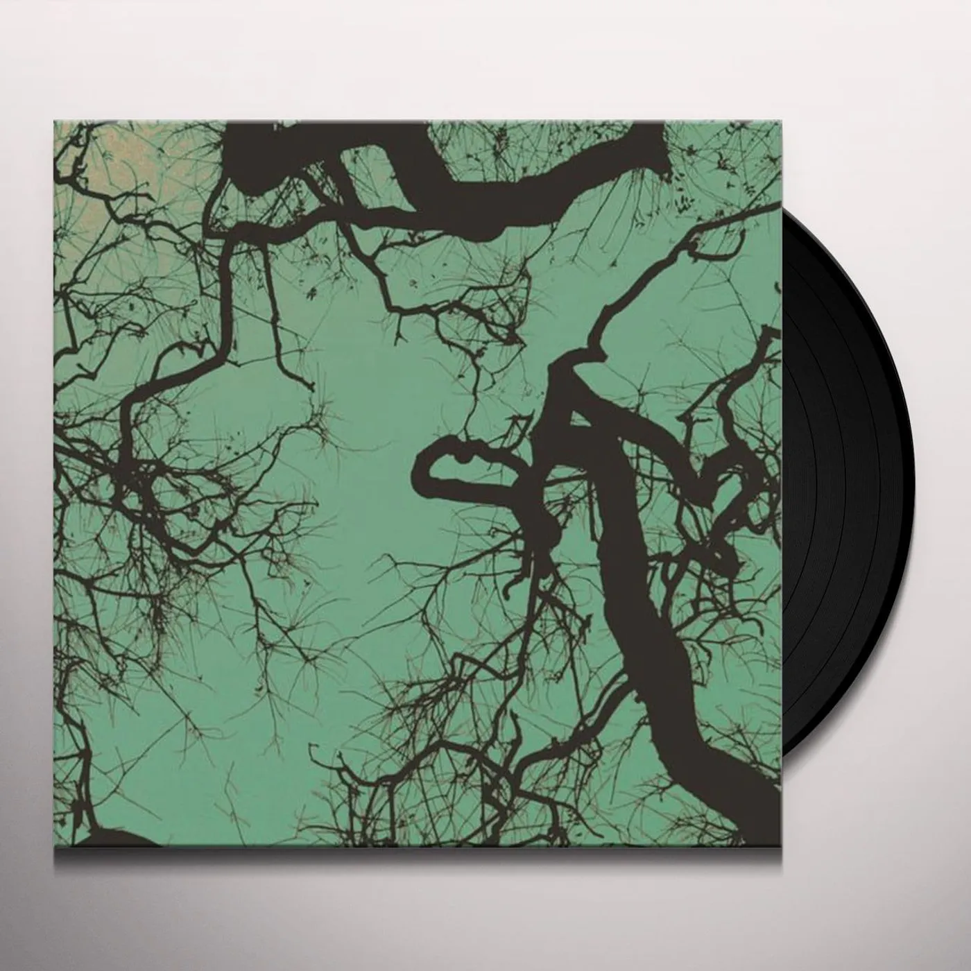 Föllakzoid Vinyl Record